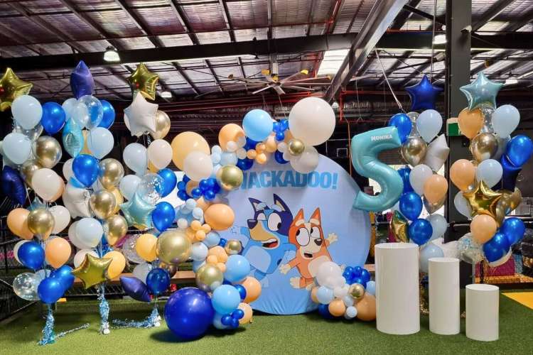 Bluey Birthday Party