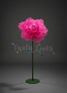 Hot pink peony flower