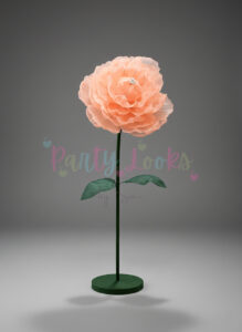 Orange peony flower