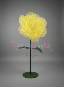 Yellow peony flower